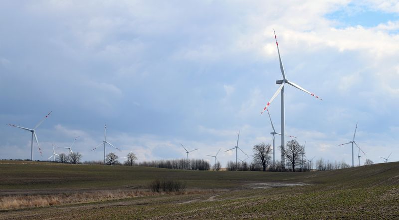 Polska może podwoić moc elektrowni wiatrowych do 2030 r., twierdzi lobby – 2024-01-10