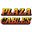 Logo Plaza Wires Limited