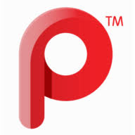 Logo PNE PCB