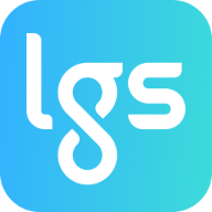 Logo LGS Group Consulting Corp.