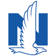 Logo Nationwide Mutual Fire Insurance Co.