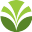 Logo Olam International Ltd.