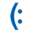 Logo SeeReal Technologies SA