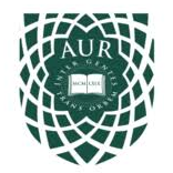 Logo The American University of Rome