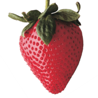 Logo Aptos Berry Farms, Inc.