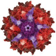 Logo Asklepios BioPharmaceutical, Inc.