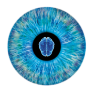 Logo Neuroptics, Inc.