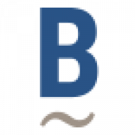 Logo Bellmark Partners LLC