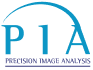 Logo Precision Image Analysis, Inc.