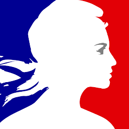 Logo Government of France
