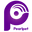 Logo Pearl Polymers Ltd.