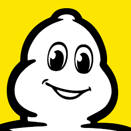 Logo Michelin Tyre Plc