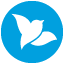 Logo Bluebird Systems