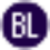 Logo Burns & Levinson LLP