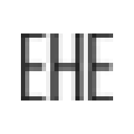 Logo Executive Health Exams International, Inc.
