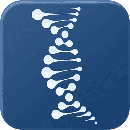 Logo RSA Consulting Ltd.