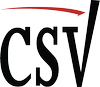 Logo City Service Valcon LLC