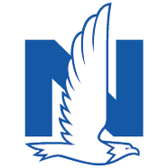 Logo Nationwide Mutual Capital LLC