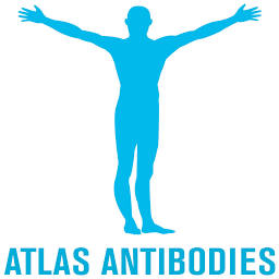 Logo Atlas Antibodies AB