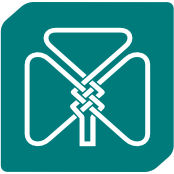 Logo The American Ireland Fund