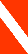 Logo NetEnrich, Inc.