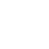 Logo Capricorn Investment Group LLC (Private Equity)