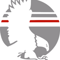 Logo Talon Group LLC