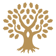Logo Universidad Panamericana