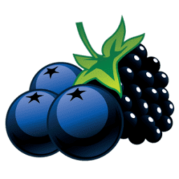 Logo Michigan Blueberry Growers Association