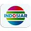 Logo PT Indosiar Visual Mandiri