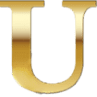 Logo Bulldog Solutions, Inc.
