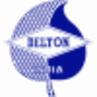 Logo Delton Cables Ltd.