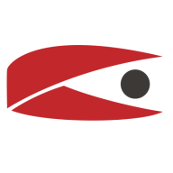 Logo Caveon LLC