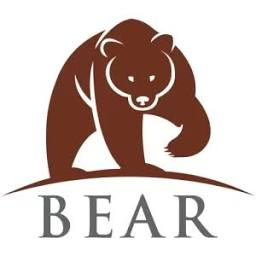 Logo Bear Equity LLC