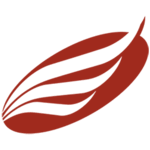 Logo American Eagle Financial Credit Union