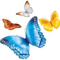 Logo Nationwide Children's Hospital