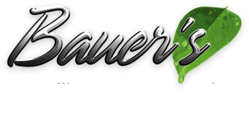 Logo Bauers Limousine Service, Inc.