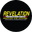 Logo ERP LLC