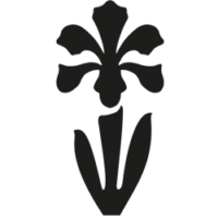 Logo Trans Ceramica Ltd.
