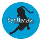 Logo Synthesis SRL
