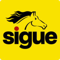 Logo Sigue Global Services Ltd.