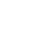 Logo Leirvik AS