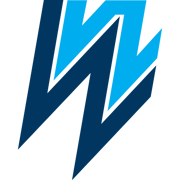 Logo WEL Networks Ltd.