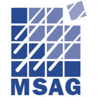 Logo The Microsystems Group Ltd.
