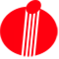 Logo Idibra Participaçoes SA