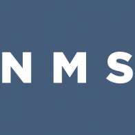 Logo New MainStream Capital Management Holding, LLC