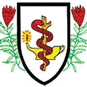 Logo American Naturopathic Medical Association