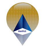 Logo AmVet Technologies LLC