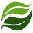 Logo Evergreen Advisors LLC (Tennessee)