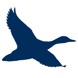 Logo Chesapeake Financial Group, Inc.